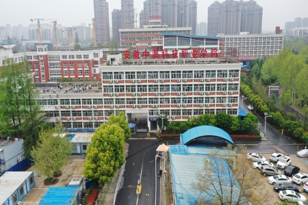 Anhui China-Australia Institute of Technology