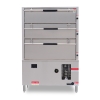 Deluxe Fully Premixed 3-Door Seafood Steamer Cabinet
